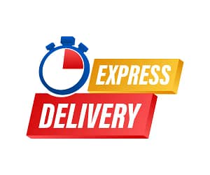 express-delivery-service-fast-time-order-vector